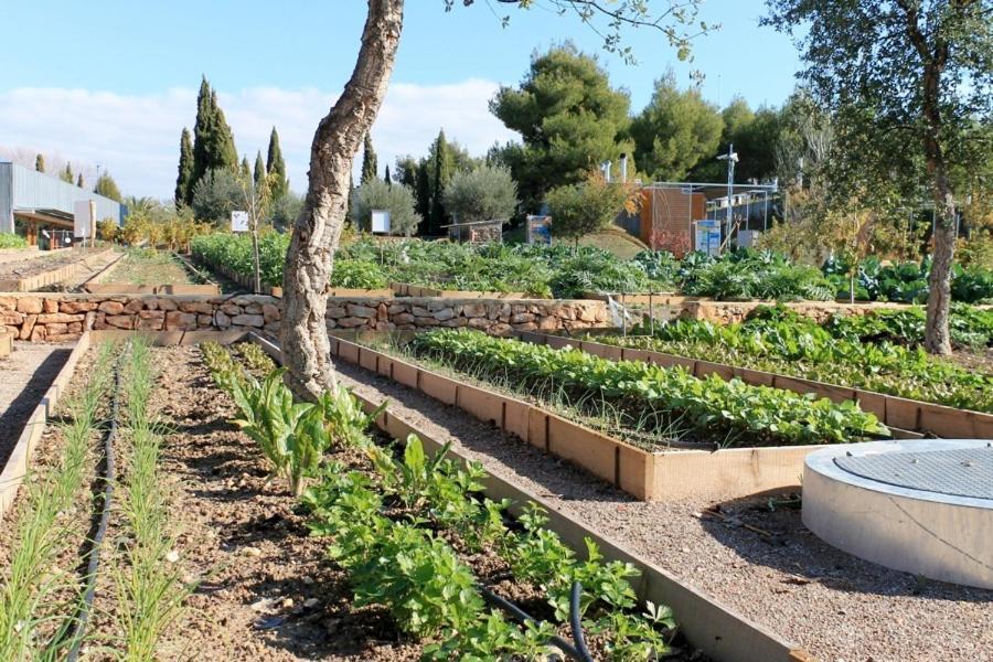 Centro De Agroecologia Y Medio Ambiente De Murcia 부야스 외부 사진