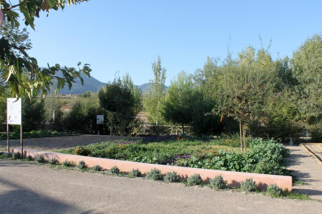 Centro De Agroecologia Y Medio Ambiente De Murcia 부야스 객실 사진