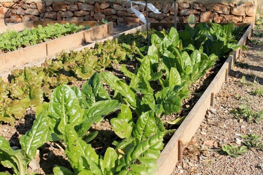Centro De Agroecologia Y Medio Ambiente De Murcia 부야스 외부 사진