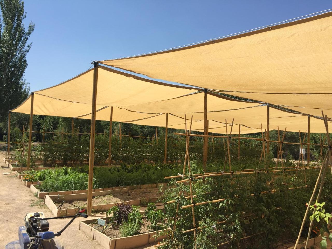 Centro De Agroecologia Y Medio Ambiente De Murcia 부야스 외부 사진