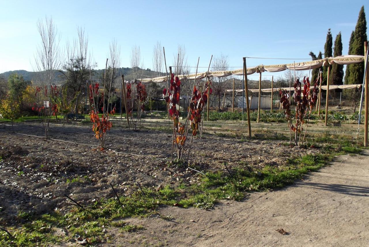 Centro De Agroecologia Y Medio Ambiente De Murcia 부야스 외부 사진
