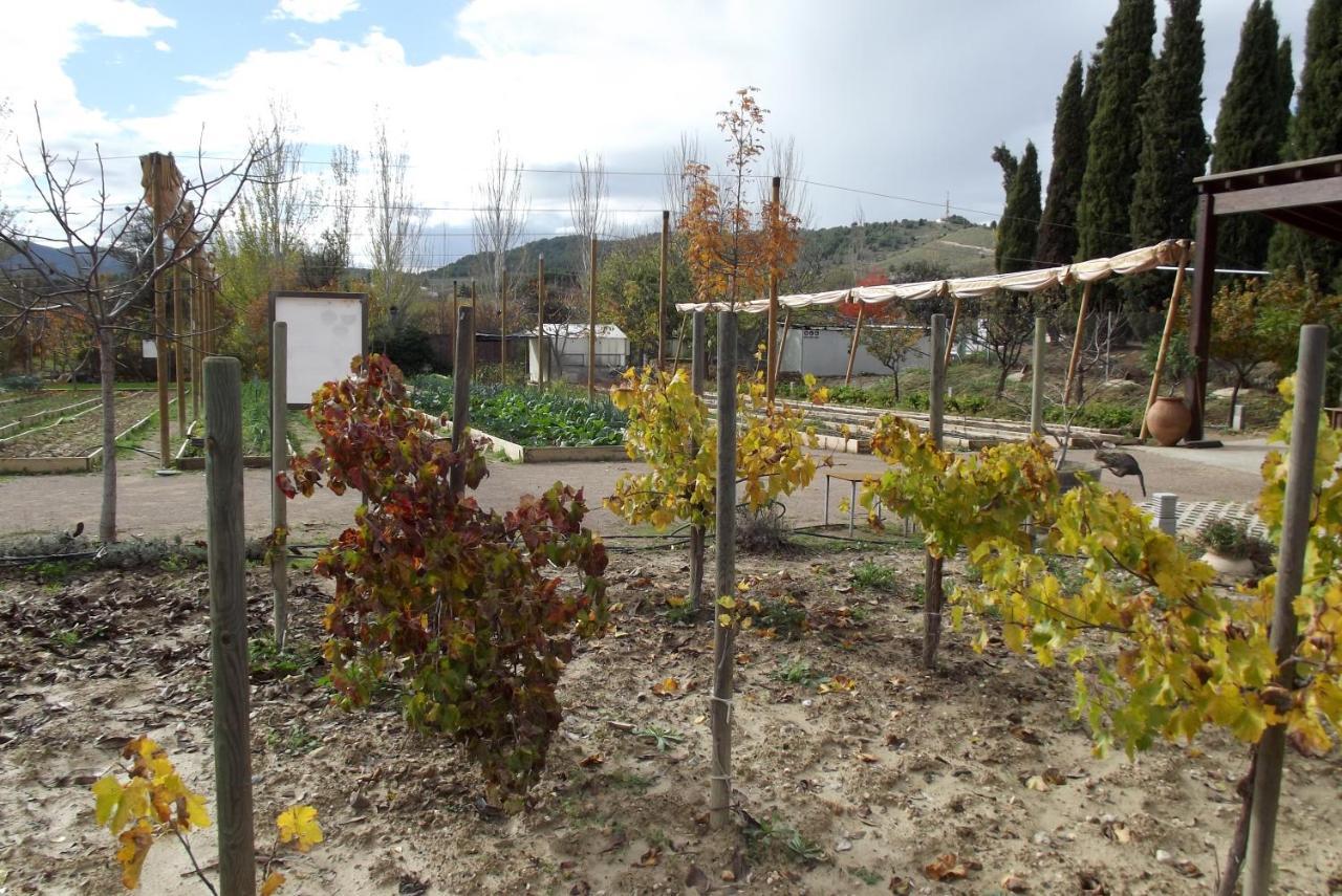 Centro De Agroecologia Y Medio Ambiente De Murcia 부야스 외부 사진